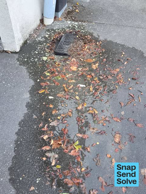 Water Leak, a report photo