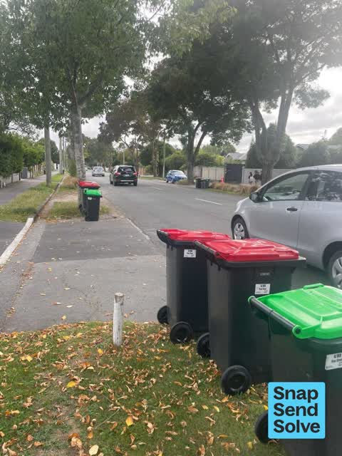 Rubbish and Bins - General, a report photo