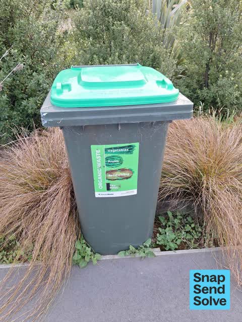 Rubbish and Bins - General, a report photo