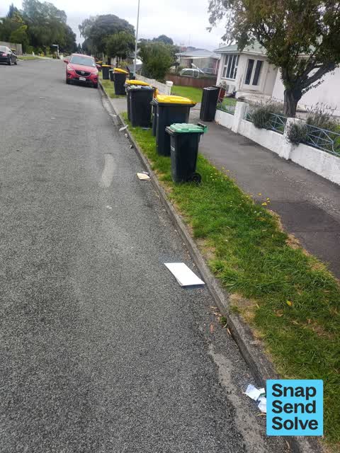 Litter, a report photo
