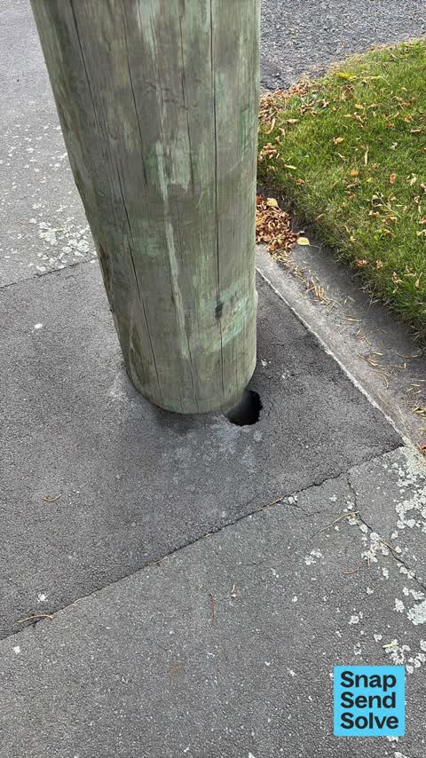 Pavement - Damaged, a report photo