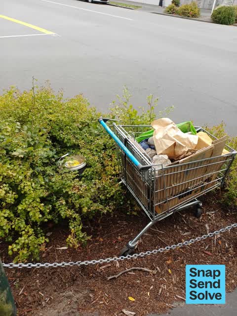 Dumped Rubbish, a report photo