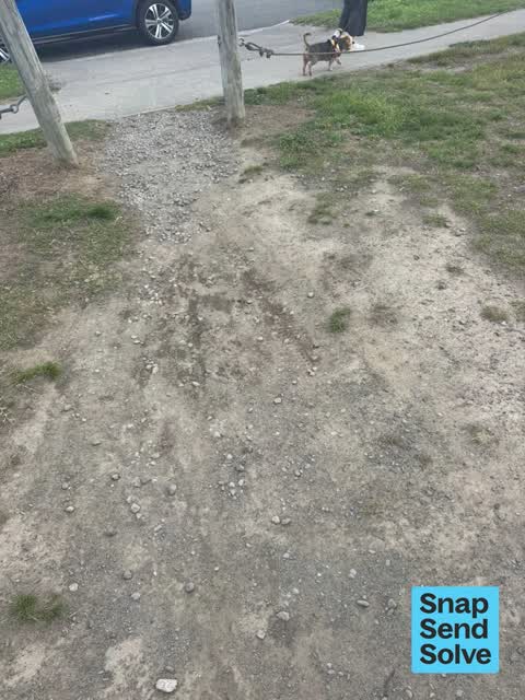 Park - General Request, a report photo