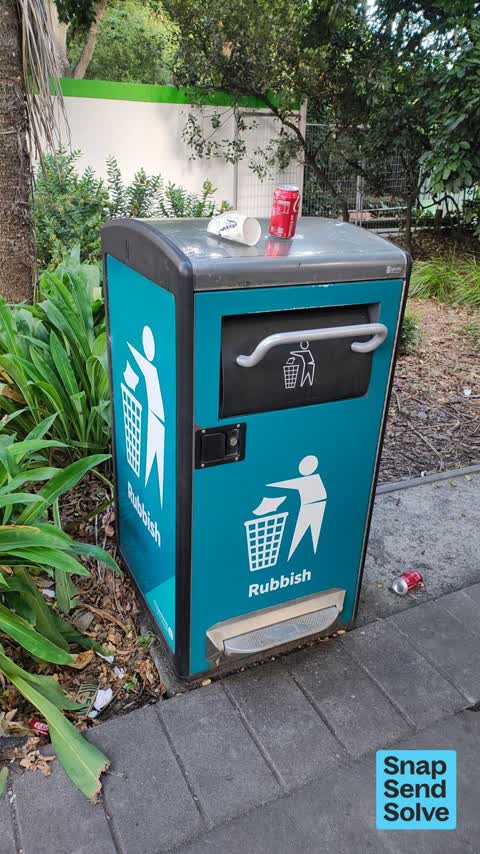 Rubbish and Bins - General, a report photo