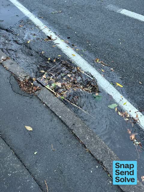 Street Gutters / Storm Water, a report photo