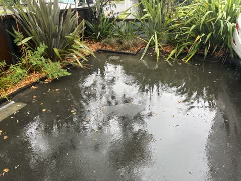 Street Gutters / Storm Water, a report photo