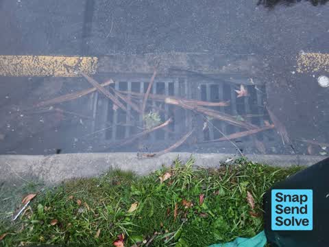 Street Gutters / Storm Water, a report photo