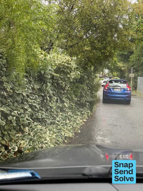 Overgrown Vegetation, a report photo