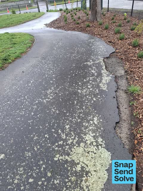 Pavement - Damaged, a report photo