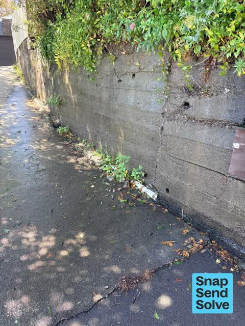 Water Leak, a report photo