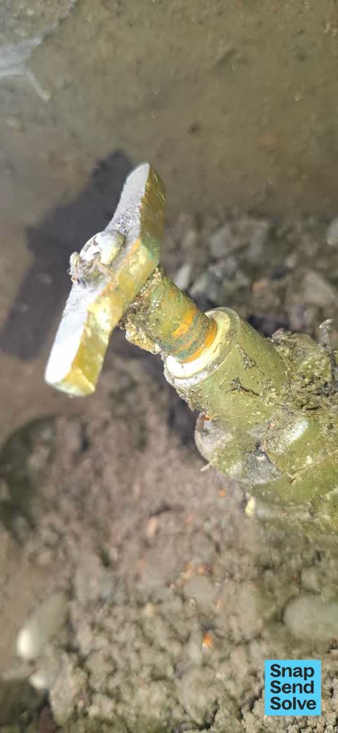 Water Leak, a report photo