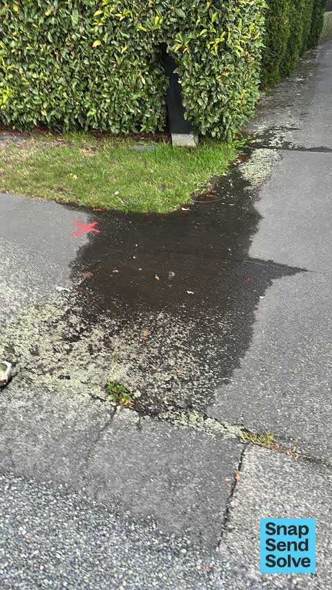 Water Leak, a report photo