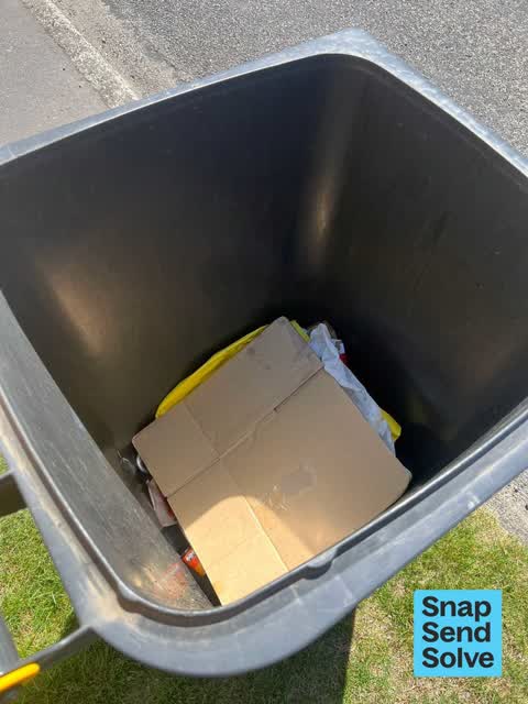 Rubbish and Bins - General, a report photo