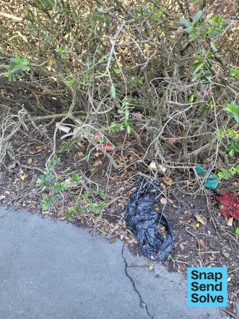 Dumped Rubbish, a report photo