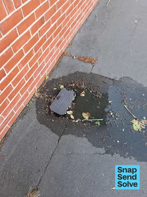 Water Leak, a report photo