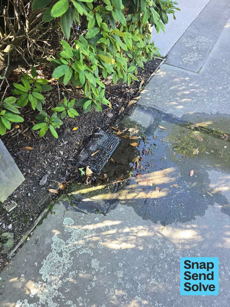 The photograph attached to this water leak report