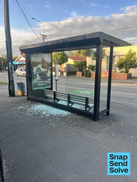 Bus Shelter Issue, a report photo