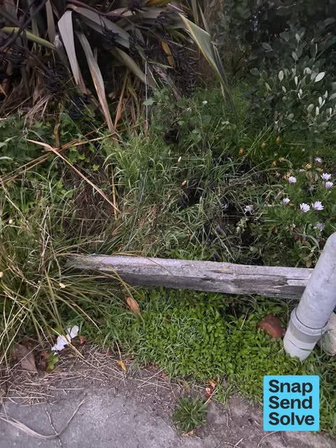 Public Toilet, a report photo