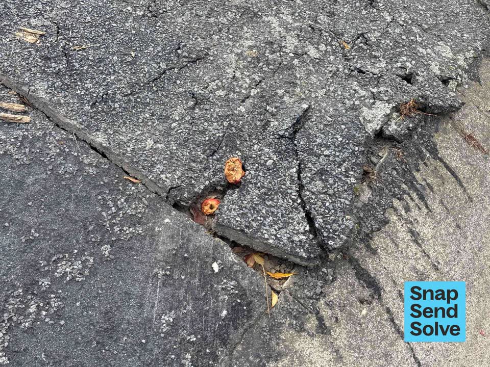 The photograph attached to this damaged road report