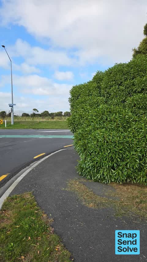 Overgrown Vegetation — a report photo