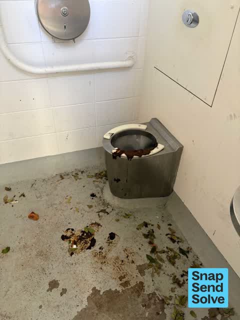 Public Toilet, a report photo