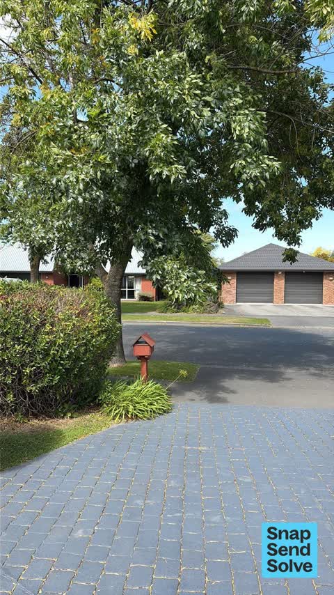 Trees - General, a report photo