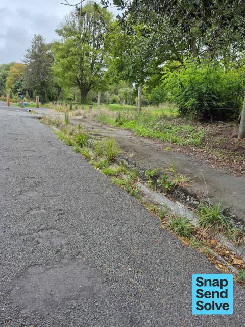 Street Gutters / Storm Water, a report photo