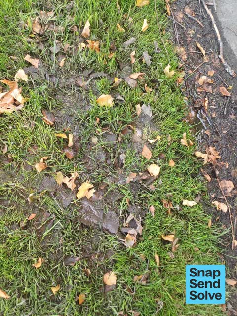 Water Leak, a report photo