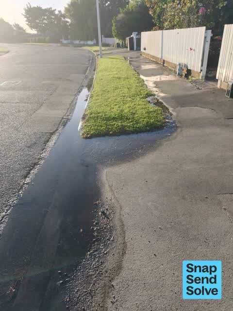 Water Leak, a report photo