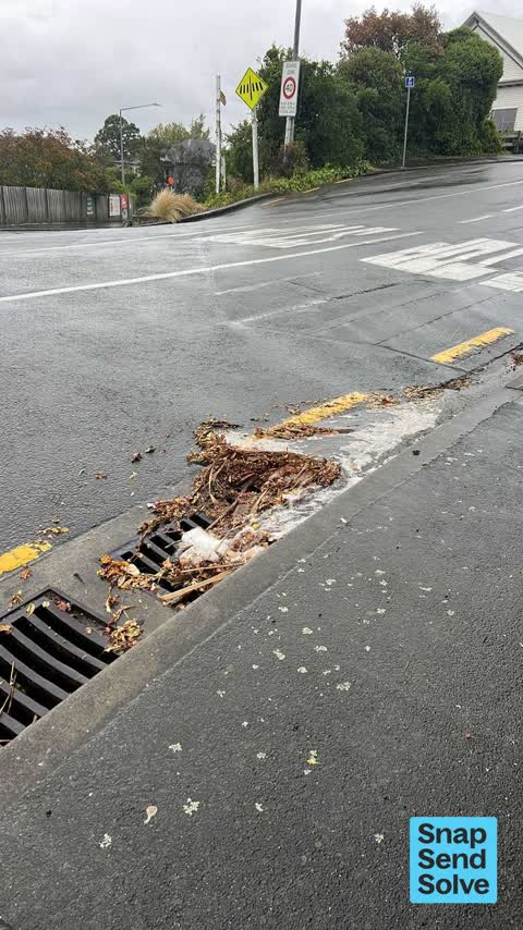 Street Gutters / Storm Water — a report photo