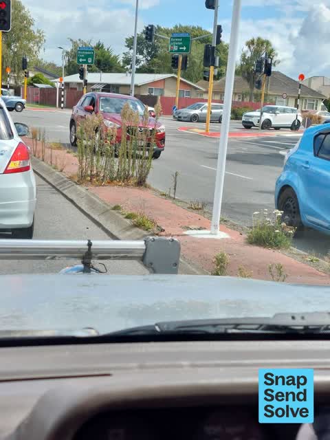 Overgrown Vegetation, a report photo