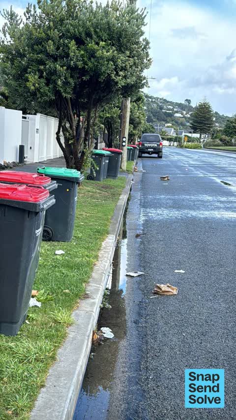 Rubbish and Bins - General, a report photo