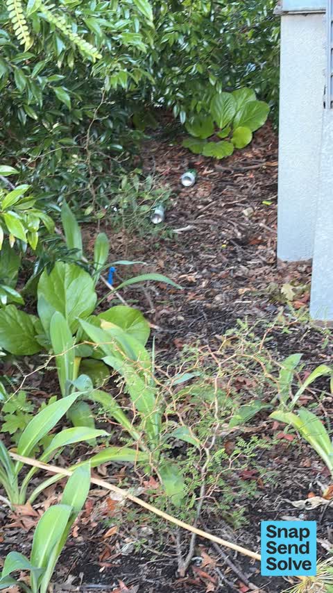 Litter — a report photo