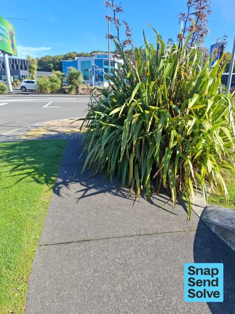 Overgrown Vegetation — a report photo