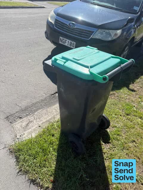 Rubbish and Bins - General, a report photo