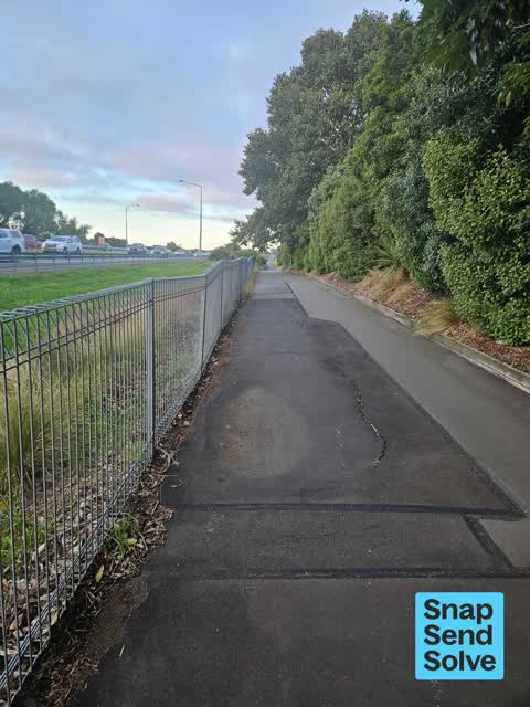 Pavement - Damaged, a report photo