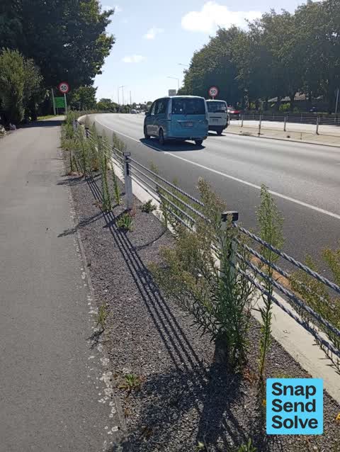 Roads - General, a report photo