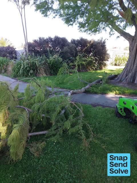 Park - General Request, a report photo