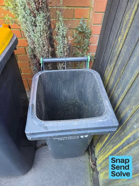 Rubbish and Bins - General, a report photo
