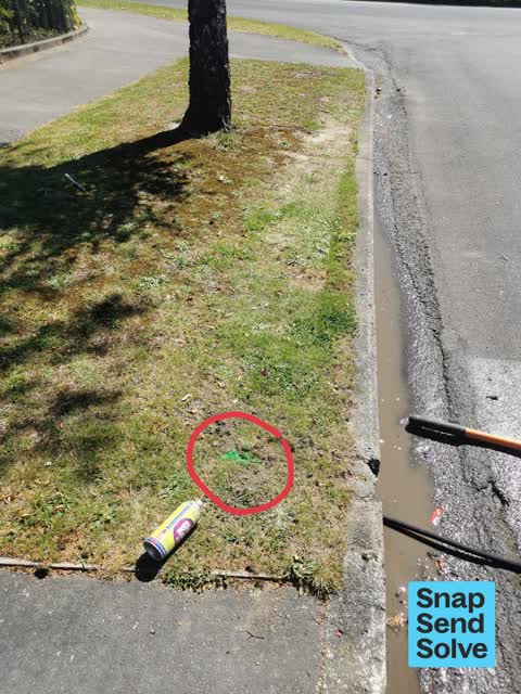 Street Gutters / Storm Water, a report photo