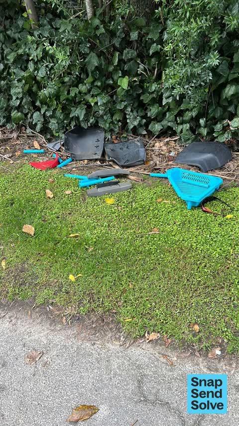 Litter, a report photo