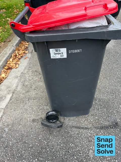 Rubbish and Bins - General, a report photo