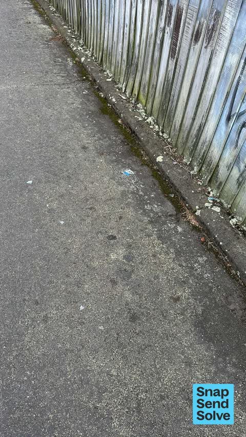 Litter, a report photo