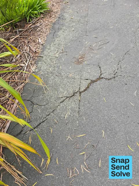 Pavement - Damaged, a report photo