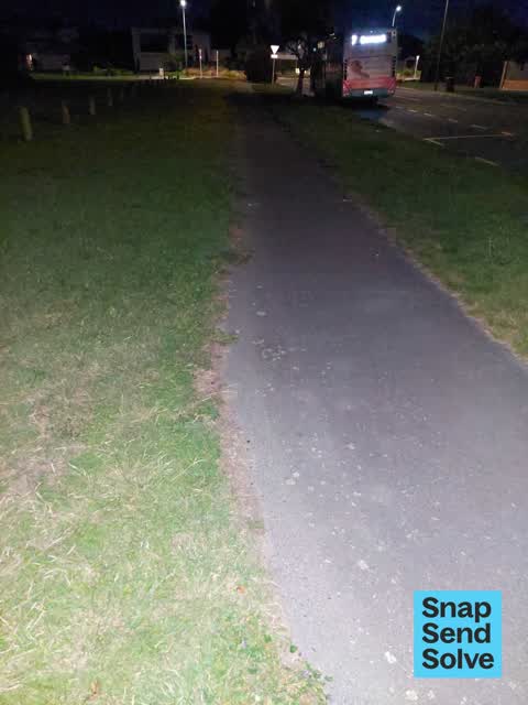 Litter, a report photo