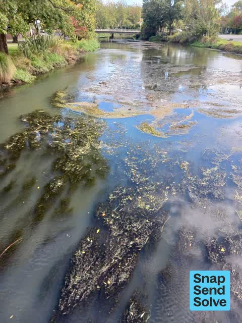 Water Pollution - Sediment, a report photo