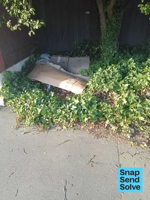 Dumped Rubbish, a report photo