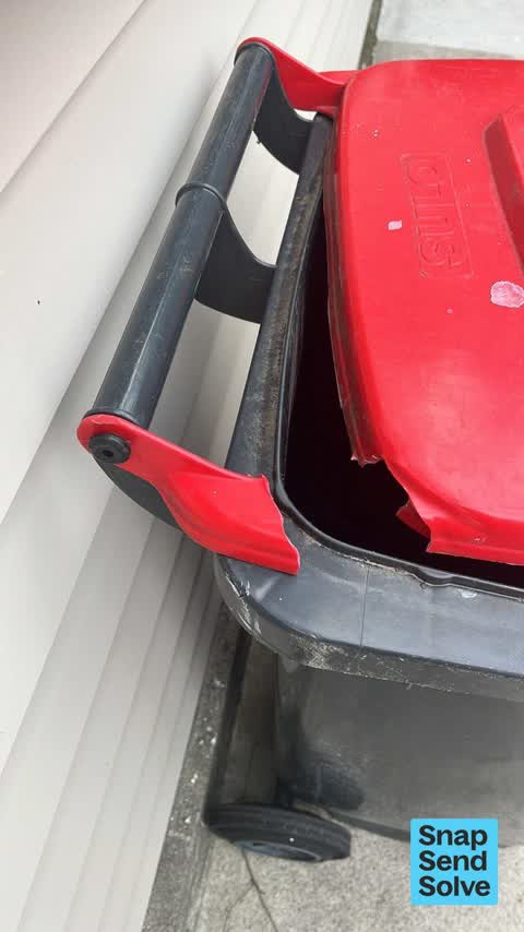 Rubbish and Bins - General, a report photo
