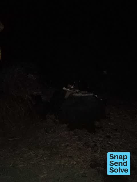 Dumped Rubbish, a report photo