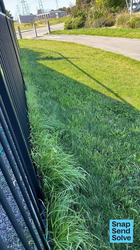 Overgrown Vegetation, a report photo